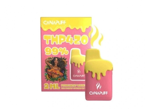 Permanentmarker 99% THP420 - Canapuff - Einweg 2 ml