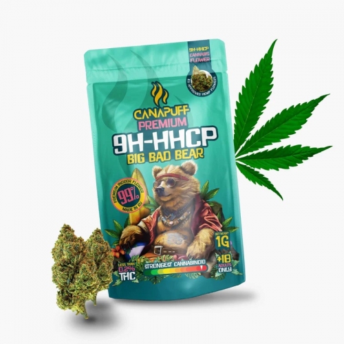 9H-HHCP Blüten Big Bad Bear 99 % – Canapuff 1 g
