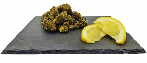 Lemon Haze CBD Gewicht: 1 g