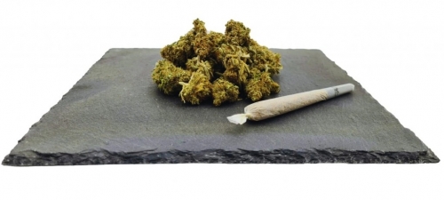 Amnesia Haze CBD Gewicht: 1 g