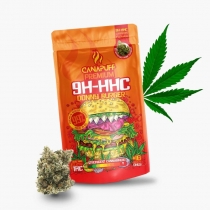 9H-HHC Blüten von Donny Burger 99 % – Canapuff 1 g