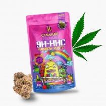 9H-HHC Blüten Rainbow Runtz 99 % – Canapuff 1 g