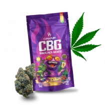 CBG-Blüten Blackjack Gelato 69 %