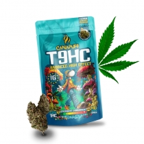 T9HC Blüten Balanced 99 % – Canapuff 1 g